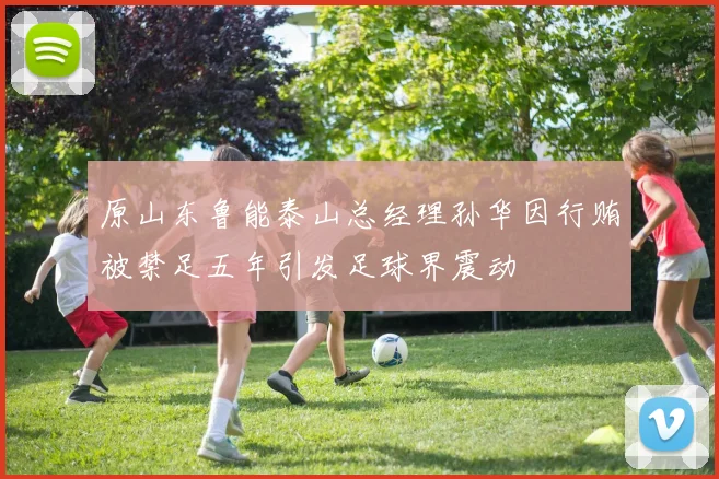 原山东鲁能泰山总经理孙华因行贿被禁足五年引发足球界震动