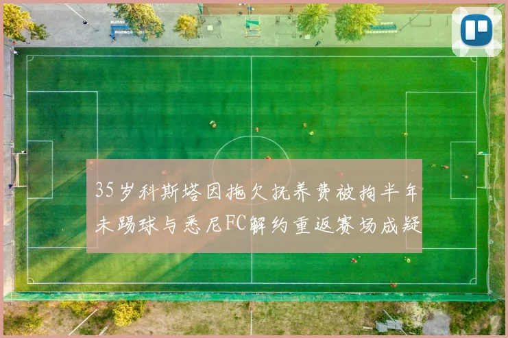 35岁科斯塔因拖欠抚养费被拘半年未踢球与悉尼FC解约重返赛场成疑