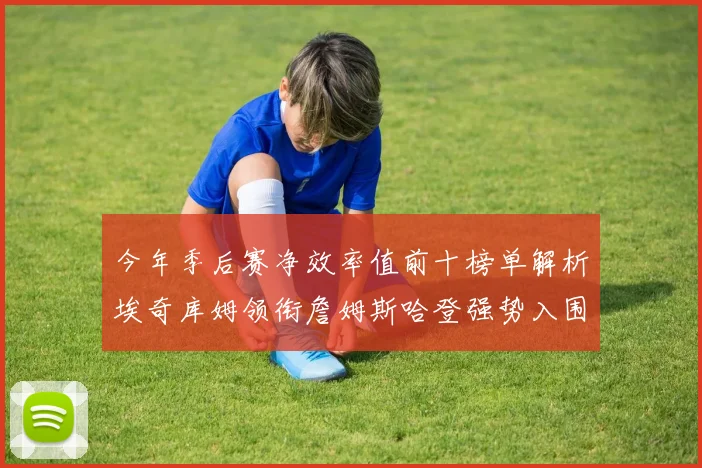 今年季后赛净效率值前十榜单解析埃奇库姆领衔詹姆斯哈登强势入围